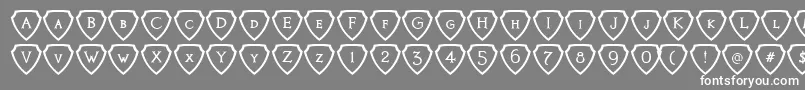 KnightsQuestShielded-Schriftart – Weiße Schriften auf grauem Hintergrund