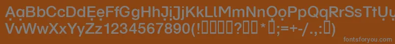 Czcionka Schulvokaldots – szare czcionki na brązowym tle