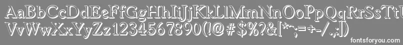 WorcestershadowRegular-Schriftart – Weiße Schriften auf grauem Hintergrund