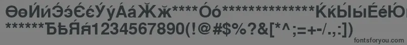 Шрифт CyrillicsansBold – чёрные шрифты на сером фоне