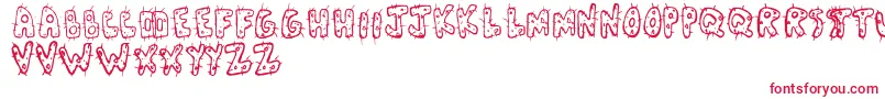 Cactl Font – Red Fonts on White Background