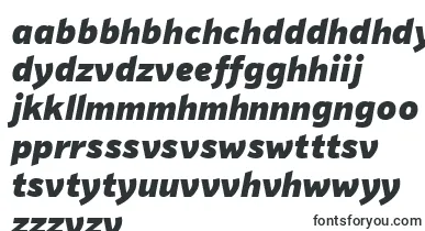 PfhighwaysansproBlackitalic font – shona Fonts