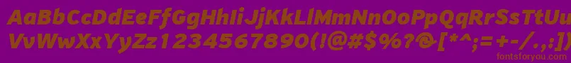 PfhighwaysansproBlackitalic Font – Brown Fonts on Purple Background