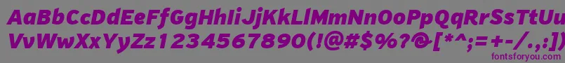 PfhighwaysansproBlackitalic Font – Purple Fonts on Gray Background