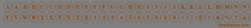 ADiscoserifnr-Schriftart – Braune Schriften auf grauem Hintergrund