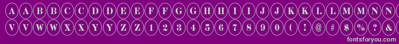 ADiscoserifnr Font – Green Fonts on Purple Background