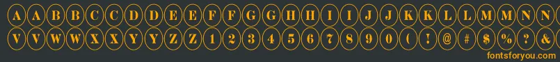 ADiscoserifnr Font – Orange Fonts on Black Background