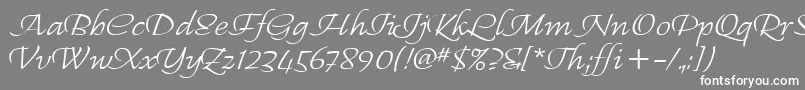 RegalliaItc Font – White Fonts on Gray Background