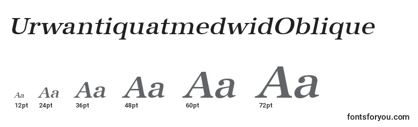 Größen der Schriftart UrwantiquatmedwidOblique