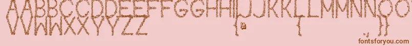 Kaori Font – Brown Fonts on Pink Background