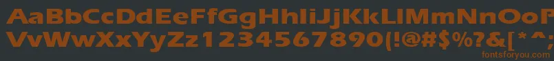 Ergoxbe-fontti – ruskeat fontit mustalla taustalla