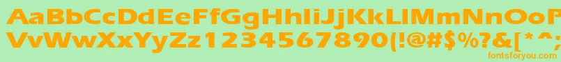 Ergoxbe Font – Orange Fonts on Green Background