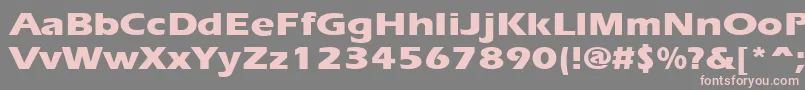 Ergoxbe Font – Pink Fonts on Gray Background