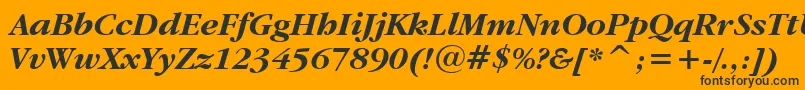 GaramondItcBoldItalicBt Font – Black Fonts on Orange Background