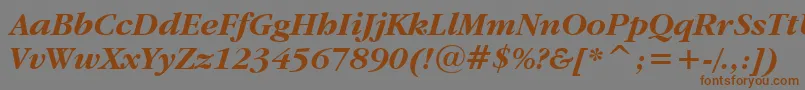 GaramondItcBoldItalicBt Font – Brown Fonts on Gray Background