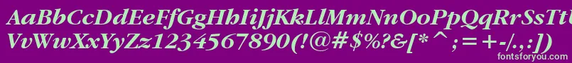 GaramondItcBoldItalicBt Font – Green Fonts on Purple Background