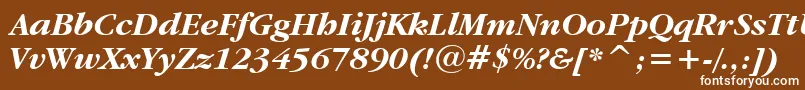 GaramondItcBoldItalicBt Font – White Fonts on Brown Background