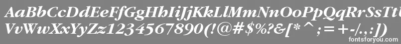 フォントGaramondItcBoldItalicBt – 灰色の背景に白い文字