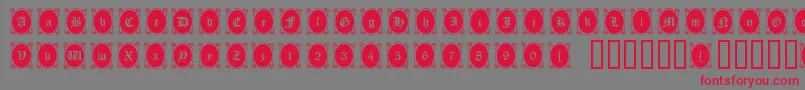 fuente Lookingglass – Fuentes Rojas Sobre Fondo Gris