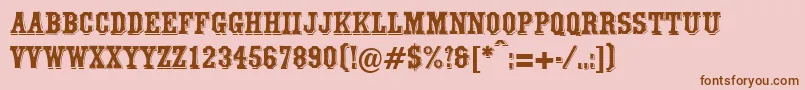 WalthamRegularDb Font – Brown Fonts on Pink Background