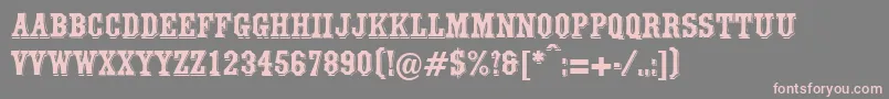 WalthamRegularDb Font – Pink Fonts on Gray Background