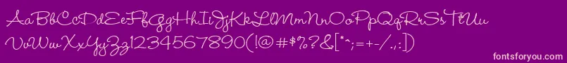 WendyMedium Font – Pink Fonts on Purple Background