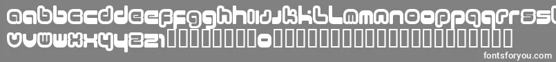フォント11 – 灰色の背景に白い文字