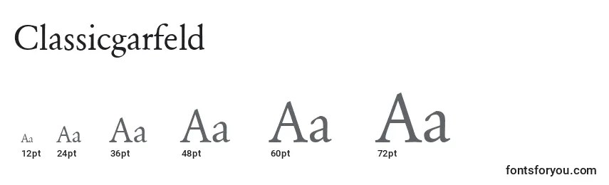 Classicgarfeld Font Sizes
