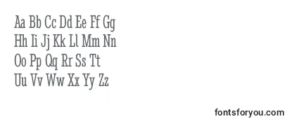 Review of the StintultracondensedRegular Font
