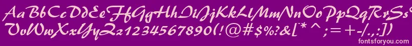 Brush445Normal Font – Pink Fonts on Purple Background