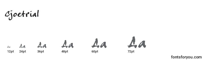 Размеры шрифта Cjoetrial