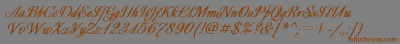 DecorBoldItalic Font – Brown Fonts on Gray Background