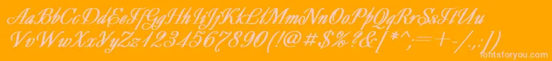 DecorBoldItalic Font – Pink Fonts on Orange Background