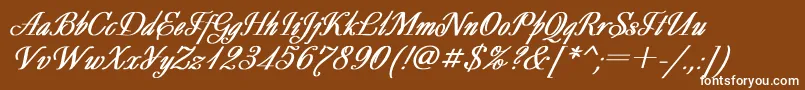 DecorBoldItalic Font – White Fonts on Brown Background