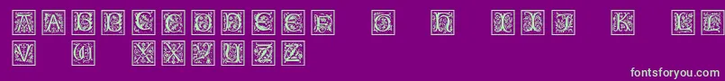 Petitfleurnormal Font – Green Fonts on Purple Background