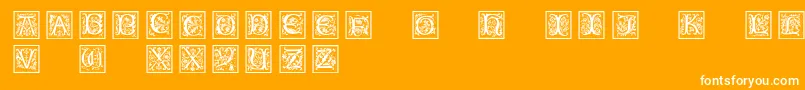 Petitfleurnormal-Schriftart – Weiße Schriften auf orangefarbenem Hintergrund