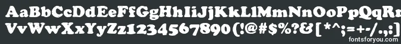 ManualBucket Font – White Fonts on Black Background
