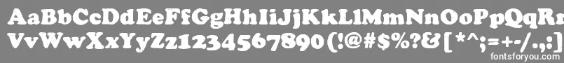 フォントManualBucket – 灰色の背景に白い文字
