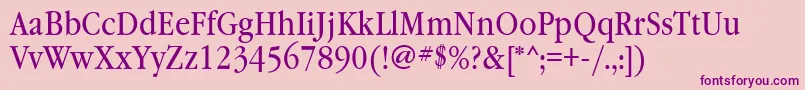 Garamondbooknarrowatt Font – Purple Fonts on Pink Background