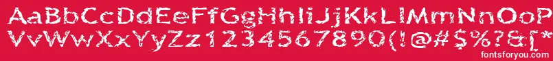 Quinquef Font – White Fonts on Red Background