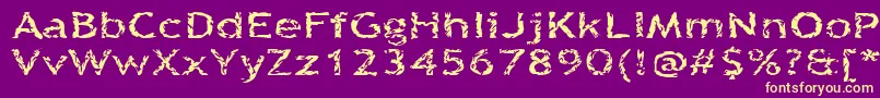 Quinquef Font – Yellow Fonts on Purple Background