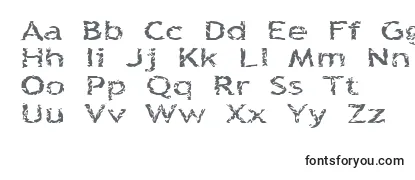 Обзор шрифта Quinquef
