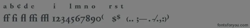 AdobeGaramondBoldExpert Font – Black Fonts on Gray Background