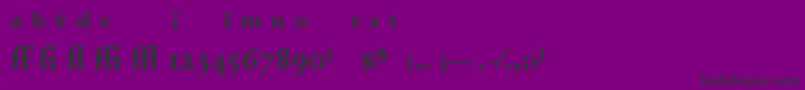 AdobeGaramondBoldExpert Font – Black Fonts on Purple Background