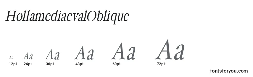 Размеры шрифта HollamediaevalOblique