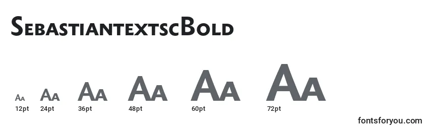 SebastiantextscBold Font Sizes