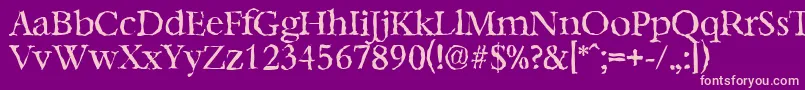 BernsteinrandomRegular Font – Pink Fonts on Purple Background