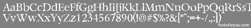 フォントBernsteinrandomRegular – 灰色の背景に白い文字