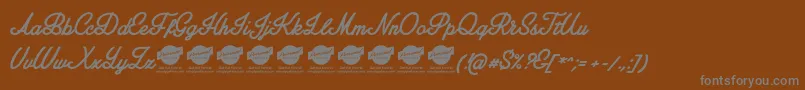 AmplifyPersonaluseonly Font – Gray Fonts on Brown Background