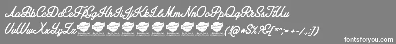 More about AmplifyPersonaluseonly Font AmplifyPersonaluseonly Font – White Fonts on Gray Background
